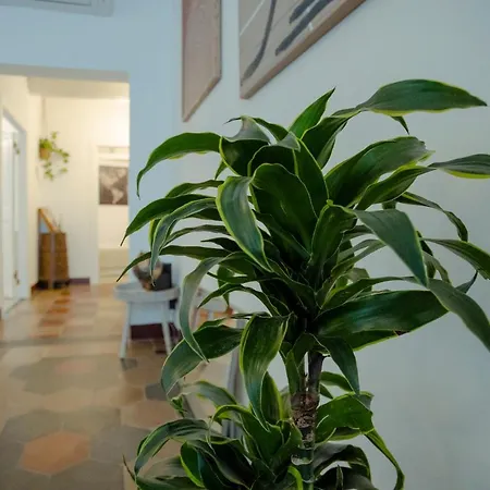 Domus Superior Navona - Pantheon Apartamento *